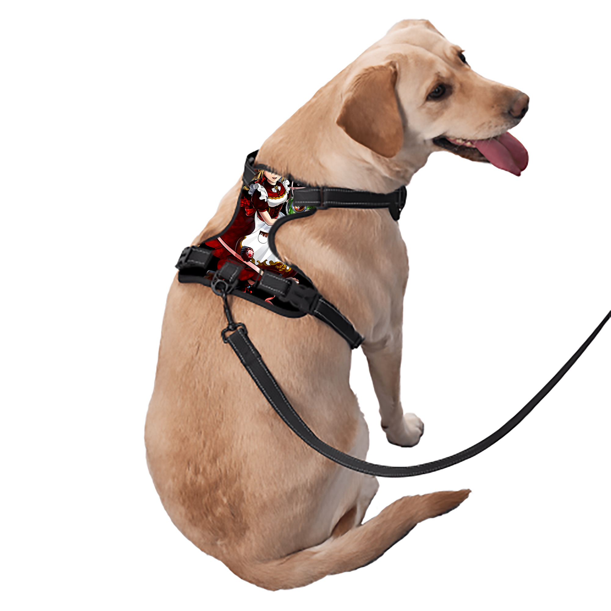 （画像用） 進撃の巨人 クリスタ·レンズ Attack on Titan Christa Lenz ペット用ハーネス